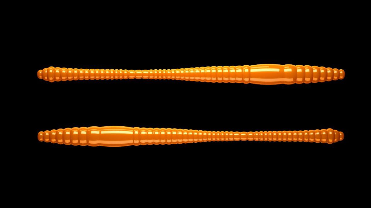 Dying Worm 011 HOT ORANGE.jpg